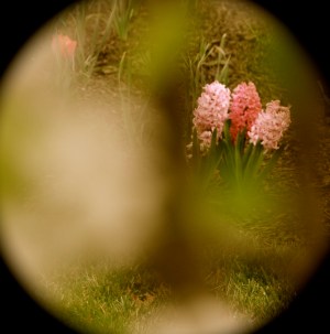 DSC_0625_2 - Version 2