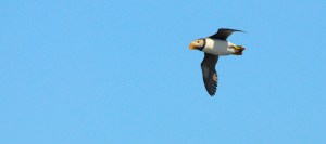 DSC_1021 - Version 3