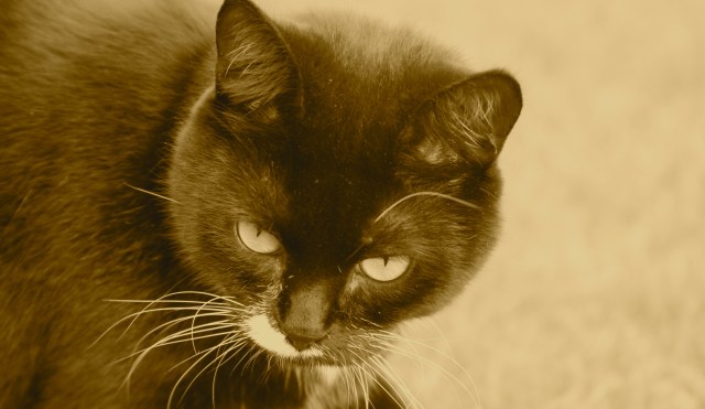 IMG_0232 - Version 2