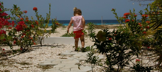 IMG_0374 - Version 2