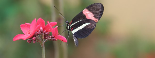 IMG_0408 - Version 2