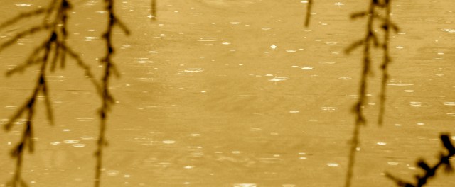 DSC_0716 - Version 2