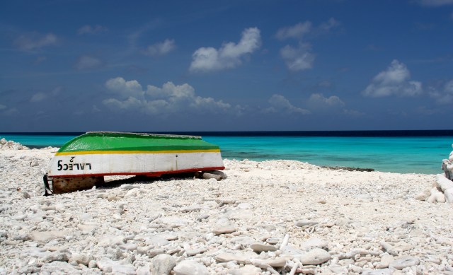 IMG_0884 - Version 4