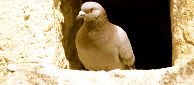 DSC_0324 - Version 2